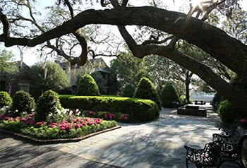 Bellingrath Gardens