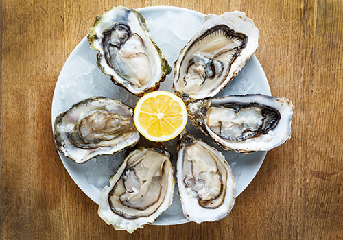 Alabama Oysters