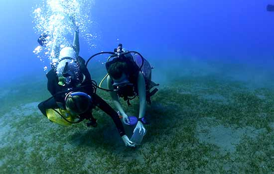 Scuba divers in the water.