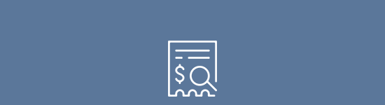 Page with dollar sign and magnifying glass.